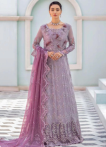 Roheenaz Kalidaar Chiffon 22 - 22-03