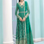 Roheenaz Kalidaar Chiffon 22 - 22-08