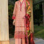 Zebaish Etoiles Festive 2022 I BLUSH