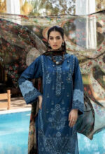 Zebaish Etoiles Festive 2022 I NILE BLUE - Image 2