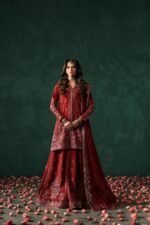 Afrozeh Divani The Silk Edit 2025 | Tajdaar