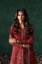 Afrozeh Divani The Silk Edit 2025 | Tajdaar - Image 5