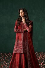 Afrozeh Divani The Silk Edit 2025 | Tajdaar - Image 6