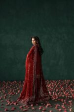 Afrozeh Divani The Silk Edit 2025 | Tajdaar - Image 3
