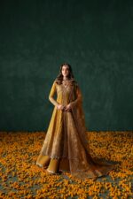 Afrozeh Divani The Silk Edit 2025 | Jahanbano