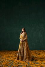 Afrozeh Divani The Silk Edit 2025 | Jahanbano - Image 5
