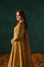 Afrozeh Divani The Silk Edit 2025 | Jahanbano - Image 3