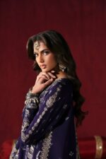 Afrozeh Divani The Silk Edit 2025 | Kaneez - Image 4