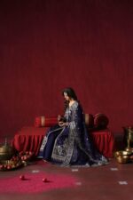 Afrozeh Divani The Silk Edit 2025 | Kaneez - Image 5