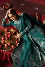 Afrozeh Divani The Silk Edit 2025 | Shahnisa - Image 2
