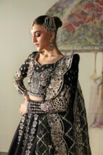 Afrozeh Divani The Silk Edit 2025 | Husnara - Image 6