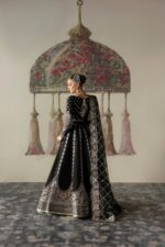 Afrozeh Divani The Silk Edit 2025 | Husnara - Image 2