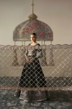 Afrozeh Divani The Silk Edit 2025 | Husnara - Image 4