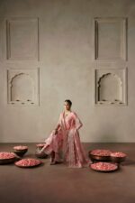 Afrozeh Divani The Silk Edit 2025 | Gulrukh - Image 4
