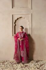 Afrozeh Divani The Silk Edit 2025 | Shabana - Image 5
