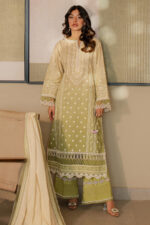 Zellbury Chikankari Lawn 2025 - 0702