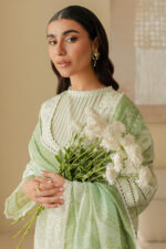 Zellbury Chikankari Lawn 2025 - 0706 - Image 8