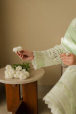 Zellbury Chikankari Lawn 2025 - 0706 - Image 7