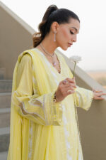 Zellbury Chikankari Lawn 2025 - 0707 - Image 4