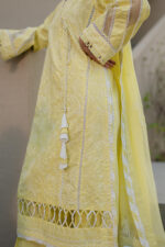 Zellbury Chikankari Lawn 2025 - 0707 - Image 5