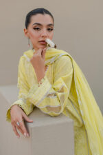 Zellbury Chikankari Lawn 2025 - 0707 - Image 2