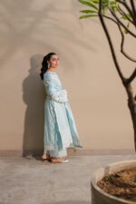 Zellbury Chikankari Lawn 2025 - 0709 - Image 6