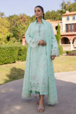 Qline Lawn By Qalamkar 2025 | QM-13 Helen