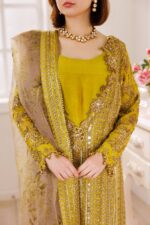 Charizma Dastan E Jashan Premium Chiffon 2025 | DJ5-04 - Image 5