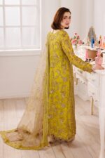Charizma Dastan E Jashan Premium Chiffon 2025 | DJ5-04 - Image 4
