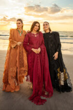 Rang Rasiya Premium Summer 2025 | Rameen - Image 8