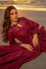 Rang Rasiya Premium Summer 2025 | Alaya - Image 3