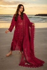 Rang Rasiya Premium Summer 2025 | Alaya - Image 4