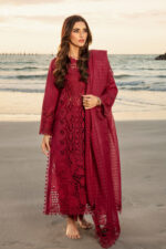 Rang Rasiya Premium Summer 2025 | Alaya