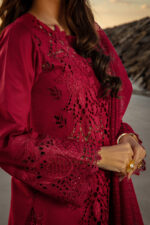 Rang Rasiya Premium Summer 2025 | Alaya - Image 5