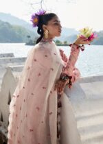 Hussain Rehar Luxury Lawn 2025 | Peaar - Image 4