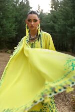 Zaha Lawn 2025 | ELAYA (ZL25-10 B) - Image 6