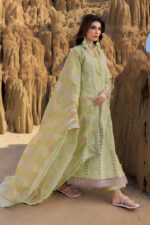 Rang Rasiya Premium Eid Luxury Lawn 25 | Rania - Image 5