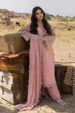 Rang Rasiya Premium Eid Luxury Lawn 25 | Aysel - Image 4