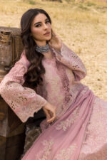 Rang Rasiya Premium Eid Luxury Lawn 25 | Aysel - Image 2