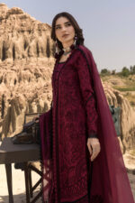 Rang Rasiya Premium Eid Luxury Lawn 25 | Maya - Image 6