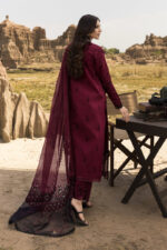 Rang Rasiya Premium Eid Luxury Lawn 25 | Maya - Image 4