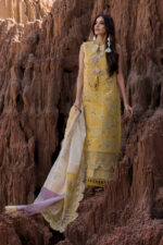 Rang Rasiya Premium Eid Luxury Lawn 25 | Nadia - Image 9