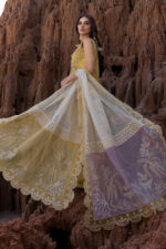 Rang Rasiya Premium Eid Luxury Lawn 25 | Nadia - Image 11