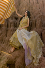Rang Rasiya Premium Eid Luxury Lawn 25 | Nadia - Image 2