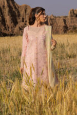 Rang Rasiya Premium Eid Luxury Lawn 25 | Nehal - Image 3