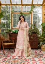 Elaf Ecraft Chikankari Chiffon Lawn | EEC-1A FOREVER BLUSH - Image 4