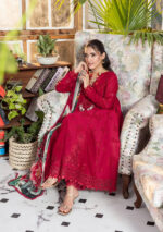 Elaf Ecraft Chikankari Chiffon Lawn | EEC-4A RUBELET - Image 4