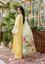 Elaf Ecraft Chikankari Chiffon Lawn | EEC-2B BUTTER BLOOM - Image 4