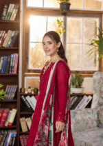 Elaf Ecraft Chikankari Chiffon Lawn | EEC-4A RUBELET - Image 5