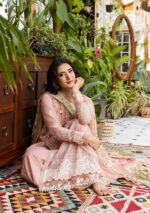 Elaf Ecraft Chikankari Chiffon Lawn | EEC-1A FOREVER BLUSH - Image 3